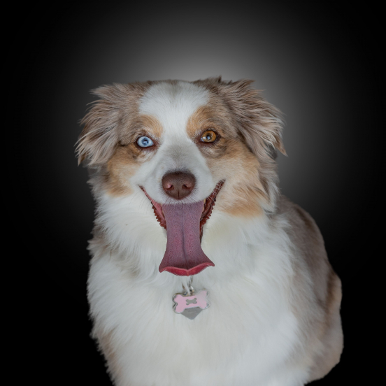 Luna Dolinar